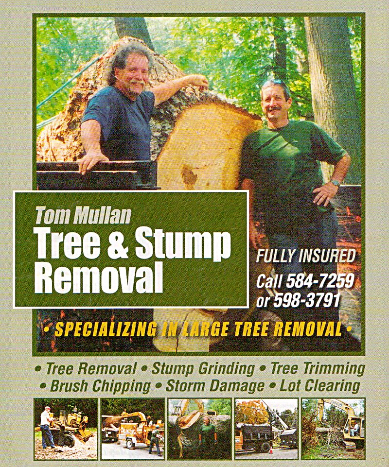 Call Tom Mullan Tree Service today